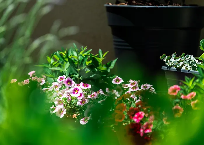 Casa vacanze Flower